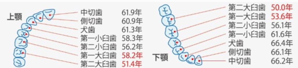 神保町駅より徒歩1分、神保町野本歯科医院