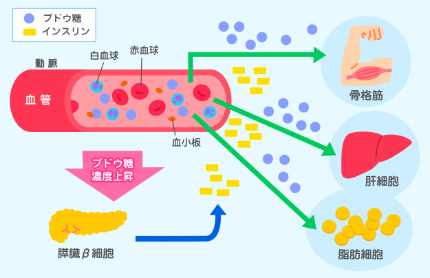 神保町駅より徒歩1分、神保町野本歯科医院