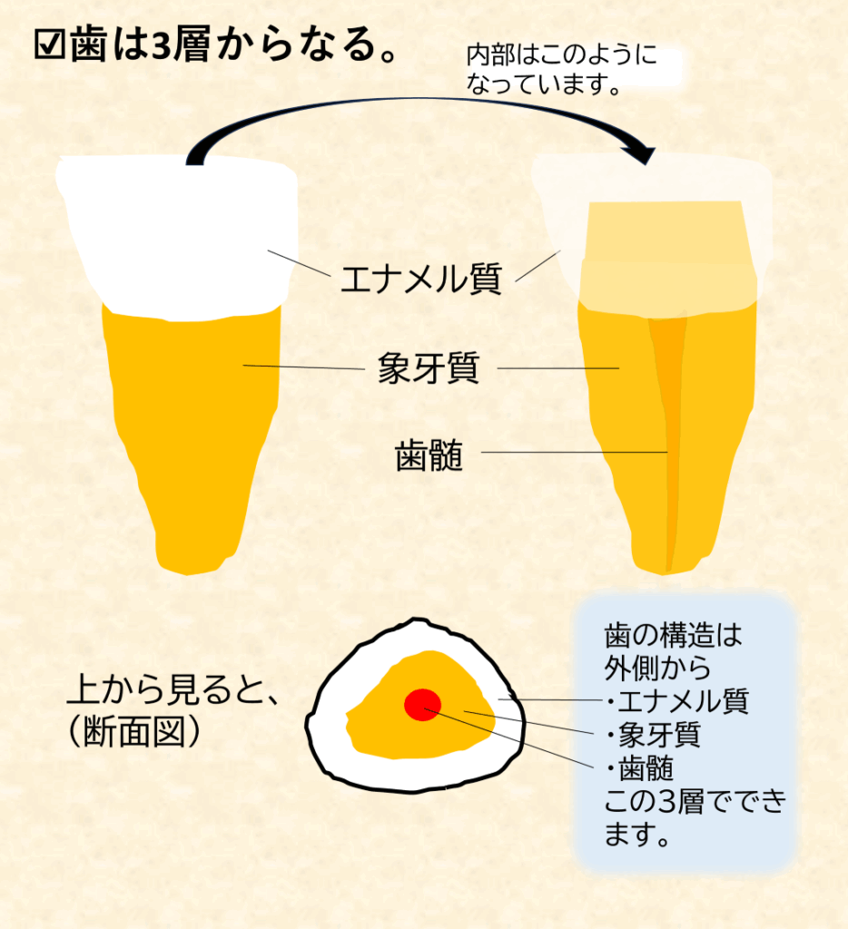 神保町駅より徒歩1分、神保町野本歯科医院