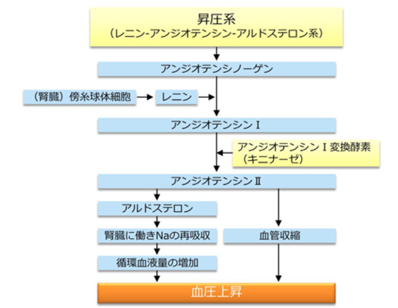 神保町駅より徒歩1分、神保町野本歯科医院