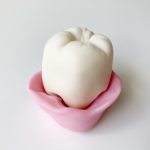 神保町の歯医者、神保町野本歯科医院で、奥歯の歯茎がめくれる原因について解説