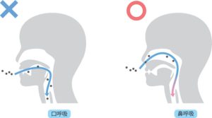 神保町の歯医者、神保町野本歯科医院で、寝ている時の「よだれ」について解説
