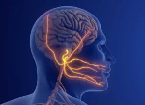 神保町の歯医者、神保町野本歯科医院で歯に原因がない「歯痛」の正体：非歯原性歯痛の完全ガイドについて解説