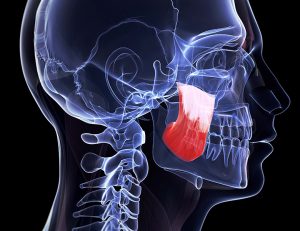 神保町の歯医者、神保町野本歯科医院で歯に原因がない「歯痛」の正体：非歯原性歯痛の完全ガイドについて解説