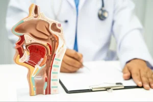 神保町の歯医者、神保町野本歯科医院で味覚異常は何科に行くべき？味覚異常の原因と、歯科・内科・耳鼻科の役割について解説