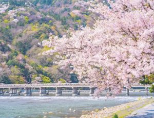 神保町の歯医者、神保町野本歯科医院で、春に歯が浮く・痛む5つの理由【口腔環境ストレスチェックリスト付】